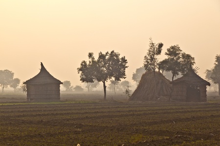 hut of farmer in fields in morning fogの写真素材