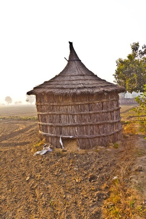hut of farmer in fields in morning fogの写真素材