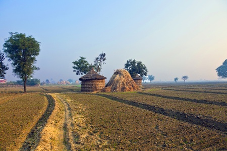 hut of farmer in fields in morning fogの写真素材