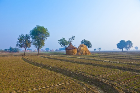 straw hut of local people in India, Rajasthan in early morning lightの写真素材