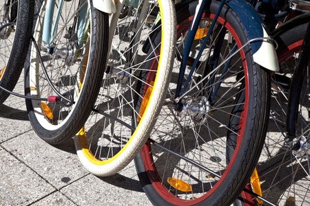 bicycle wheels lined up
