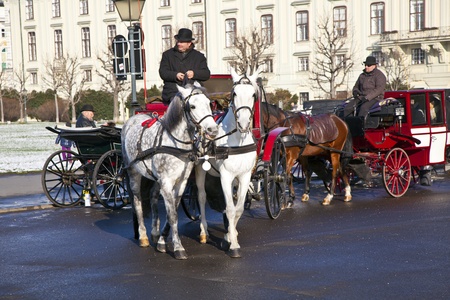 VIENNA, AUSTRIA - NOV 26: driver of the fiaker wait for tourists on November 26,2010 in Vienna, Austria. Since the 17th century, the horse-drawn carriages characterize Viennas cityscape.のeditorial素材