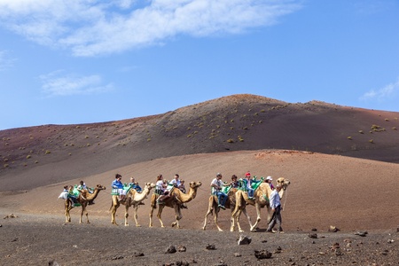 TIMANFAYA NATIONAL PARK, LANZAROTE, SPAIN - APRIL 5: Tourists ride on camels being guided by local people through the famous Timanfaya National Park in April 05,2012.のeditorial素材