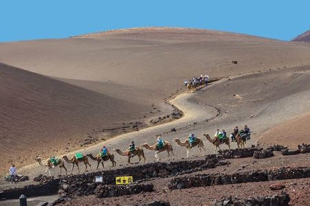 TIMANFAYA NATIONAL PARK, LANZAROTE, SPAIN - APRIL 5: Tourists ride on camels being guided by local people through the famous Timanfaya National Park in April 05,2012.のeditorial素材