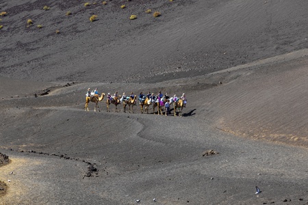 TIMANFAYA NATIONAL PARK, LANZAROTE, SPAIN - APRIL 5: Tourists ride on camels being guided by local people through the famous Timanfaya National Park in April 05,2012.のeditorial素材