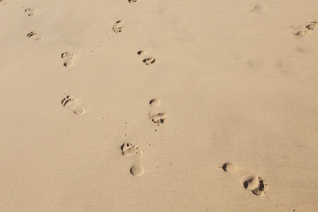 human footsteps at the clean sandy beachの写真素材