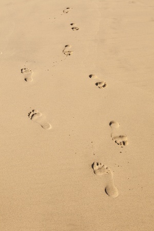 human footsteps at the clean sandy beachの写真素材