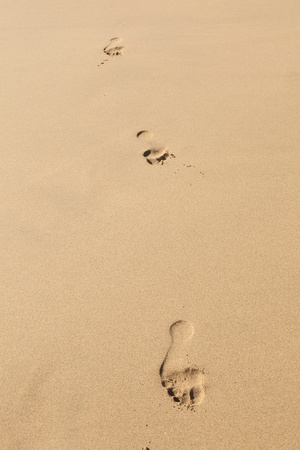 human footsteps at the clean sandy beachの写真素材