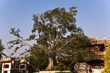 beautiful buildings and park in the Summer Palace Bang Pa In of the King of Thailand near Ajuttayaのeditorial素材