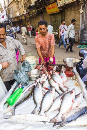 NEW DELHI, INDIA - OCTOBER 17: Selling fish on fish market in New Delhi, India on  October,16 2012. Seafood is one of the main source of food for local people.のeditorial素材