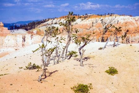 beautiful landscape in Bryce Canyon with magnificent Stone formation like Amphitheater, temples, figuresの写真素材