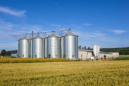 four silver silos in corn fieldの写真素材