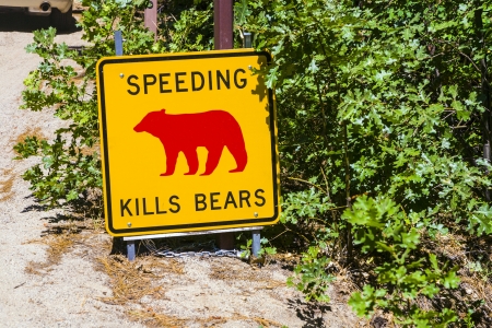 Danger sign, Speeding kills Bears in Yosemite National Parkの写真素材