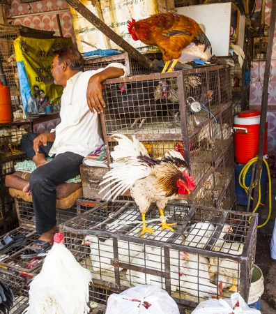 NEW DELHI, INDIA - OCT 10:  Indian men sell their chicken  and cocks in the shade at the weekly big market near Jama Mashid on October 10, 2012 in New Delhi, India.のeditorial素材