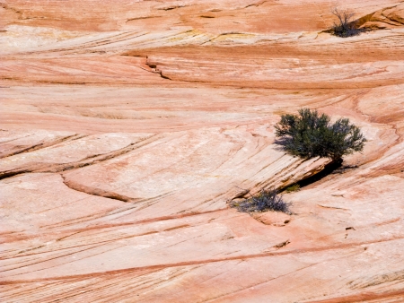 Zion National Parkの写真素材