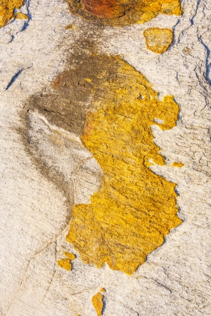 beautiful pattern in Stone at the coastの写真素材