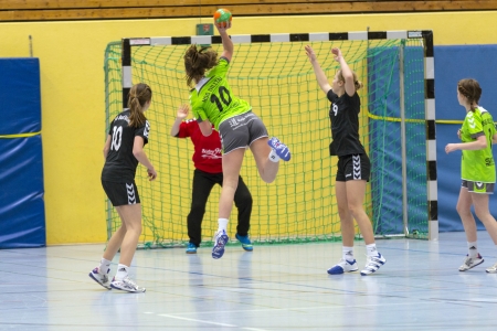 BAD SODEN, GERMANY - FEB 24: Handball Match Ladies WSG C2 TS against  HSG DILLTAL on FEB 24,2013 in...