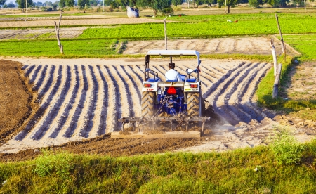 DAOLA, INDIA - OCT 25: tractor plows the field on October 25, 2013 in Daola, India. Although agriculture contributes only 21 percent of Indiaâs GDP,the rural areas are still home to some 72 percent of the Indians people.のeditorial素材