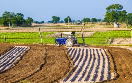 DAOLA, INDIA - OCT 25: tractor plows the field on October 25, 2013 in Daola, India. Although agriculture contributes only 21 percent of Indiaâs GDP,the rural areas are still home to some 72 percent of the Indians people.のeditorial素材