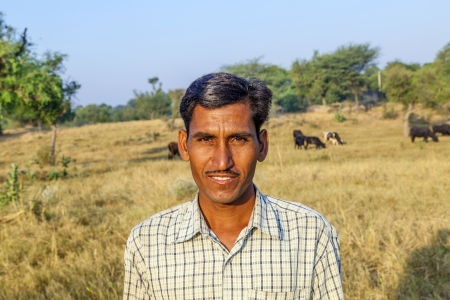 MANDAWA, INDIA, OCT 25: farmer poses in front of his cows on OCT 25 in  Mandawa, India.  There are...