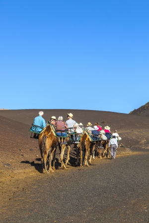 TIMANFAYA NATIONAL PARK, LANZAROTE, SPAIN - MARCH 28: Tourists ride on camels  guided by local people through the famous Timanfaya National Park on MARCH 28, 2013 in Lanzarote, Spain.のeditorial素材