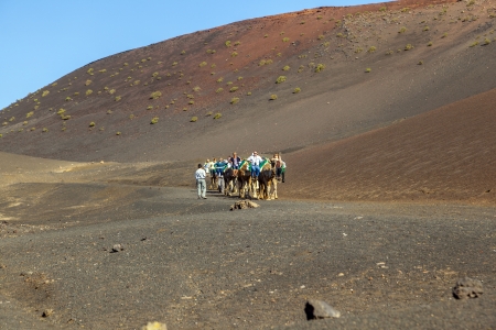 TIMANFAYA NATIONAL PARK, LANZAROTE, SPAIN - MARCH 28  Tourists ride on camels  guided by local people through the famous Timanfaya National Park on MARCH 28, 2013 in Lanzarote, Spain のeditorial素材