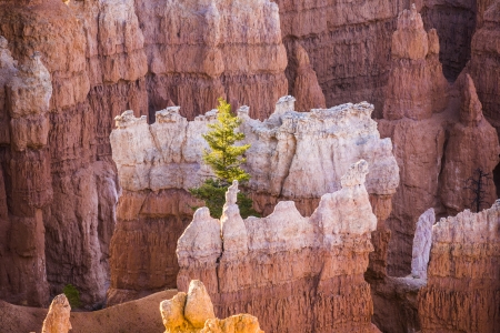 beautiful landscape in Bryce Canyon with magnificent Stone formation like Amphitheater, temples, figures in afternoon lighの写真素材