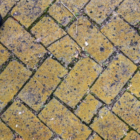 old tiles at the sidewalk with plants in the jointsの写真素材