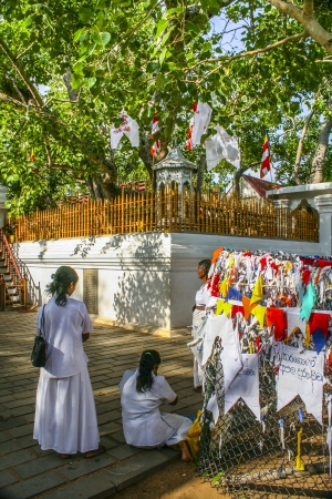 BODH GAYA - AUG 1  people worship at the famous Bodh Gaya tree on August 1, 2005 in Bodh Gaya, Sri Lanka  It is famous as the place where Gautama Buddha is said to have obtained Enlightenment のeditorial素材
