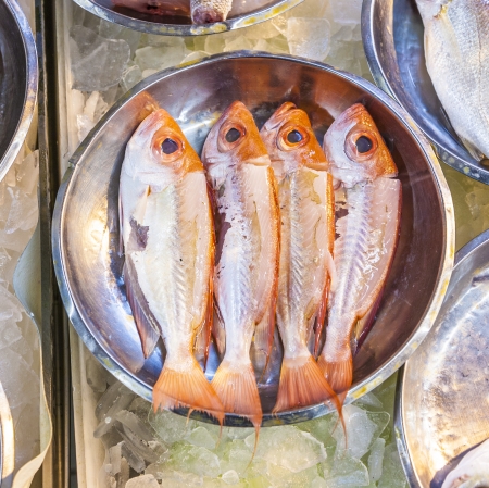whole fresh fishes are offered in the fish market in asiaの写真素材