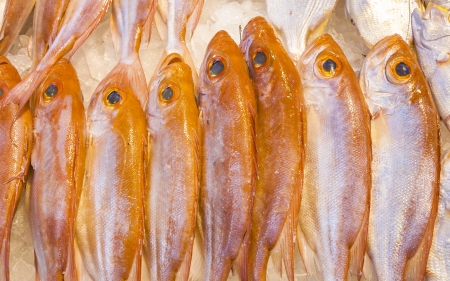 whole fresh fishes are offered in the fish market in asia