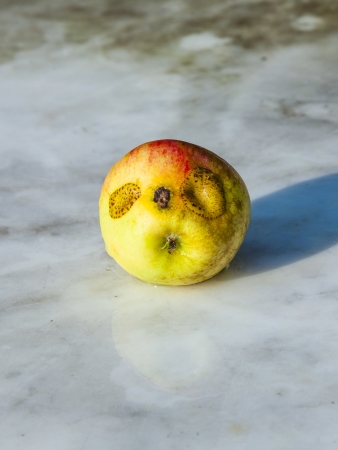 fresh apples with funny deformations like double eggの写真素材