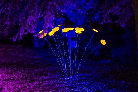 FRANKFURT, GERMANY - JAN 19: Wolfgang Flammersfeld organized the event Winterlichter on January 19, 2014 in the Palmgarden in Frankfurt, Germany. The yearly event is open to public until 8 pm. The show closes at the 29th of January.のeditorial素材