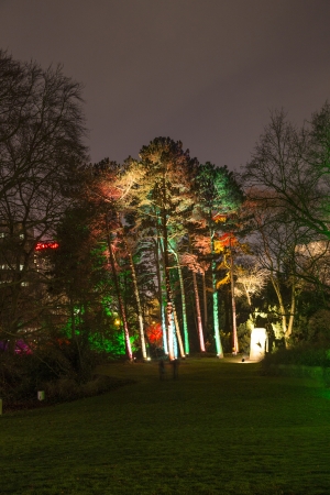 FRANKFURT, GERMANY - JAN 19: Wolfgang Flammersfeld organized the event Winterlichter on January 19, 2014 in the Palmgarden in Frankfurt, Germany. The yearly event is open to public until 8 pm. The show closes at the 29th of January.のeditorial素材