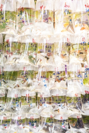 Bags of fishes for sale at a marketの写真素材