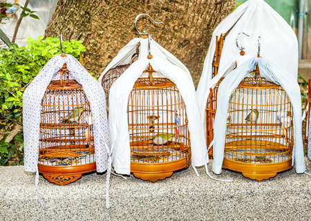 birds in a cage at the birds market in Hongkongの写真素材