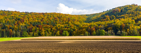 rock formation twelve apostles in Bavaria at altmuehl Riverの写真素材