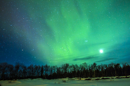 Northern Lights (Aurora borealis) over snowscape.の写真素材