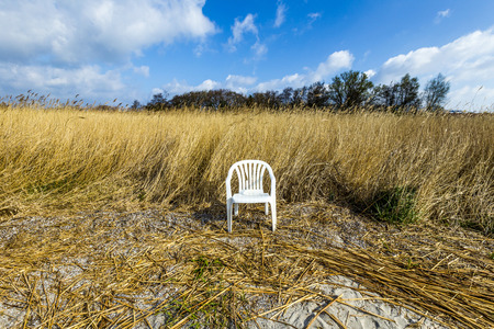reeds of grass with blue sky and plastic chairの写真素材
