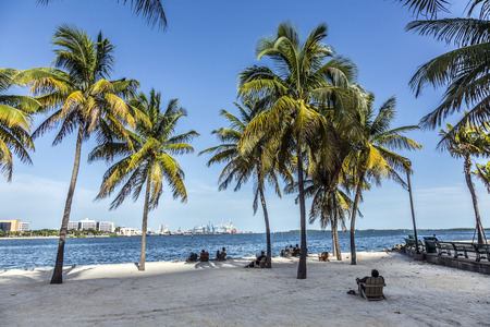 MIAMI, USA - August 19, 2014: people relax at the downtown beach under palms and look at the Port of Miami with containers and cranes in Miami, USA.のeditorial素材