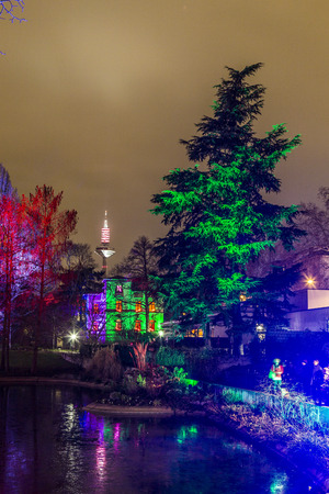 FRANKFURT, GERMANY - JAN 21, 2015: light event Winterlichter by night   in the Palmgarden in Frankfurt, Germany.The light show is open to public until 25th of January.のeditorial素材
