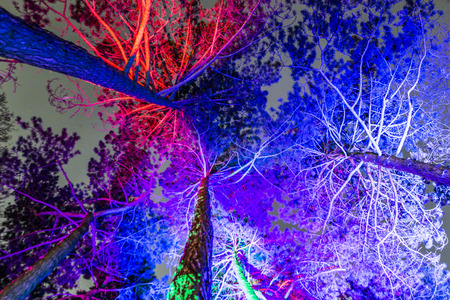 FRANKFURT, GERMANY - JAN 21, 2015: light event Winterlichter by night   in the Palmgarden in Frankfurt, Germany.The light show is open to public until 25th of January.のeditorial素材