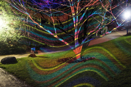 FRANKFURT, GERMANY - JAN 21, 2015: light event Winterlichter by night   in the Palmgarden in Frankfurt, Germany.The light show is open to public until 25th of January.のeditorial素材