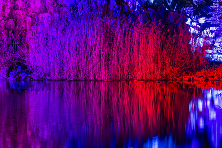 FRANKFURT, GERMANY - JAN 21, 2015: light event Winterlichter by night   in the Palmgarden in Frankfurt, Germany.The light show is open to public until 25th of January.のeditorial素材