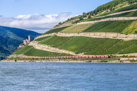 vineyards at  the rhine valley in Ruedesheim with train and castle Kaubのeditorial素材