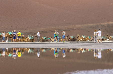 TIMANFAYA NATIONAL PARK, LANZAROTE ISLAND - NOV 12, 2014: Caravan of camels with tourists in Timanfaya National Park. Camel trek is popular attraction on Lanzarote island.のeditorial素材