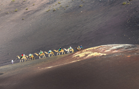 YAIZA, SPAIN - NOV 15, 2014: tourists on a camel safari in Timanfaya National Park in Yaiza, Spain. Camel riding in Timanfaya is a must for tourists.のeditorial素材