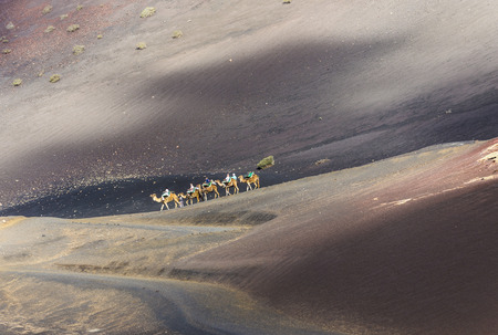 YAIZA, SPAIN - NOV 15, 2014: tourists on a camel safari in Timanfaya National Park in Yaiza, Spain. Camel riding in Timanfaya is a must for tourists.のeditorial素材