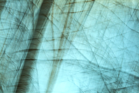 blurred motion of nature gives a harmonic background