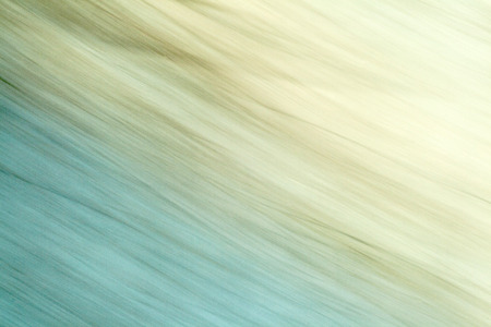 blurred motion of nature gives a harmonic backgroundの写真素材